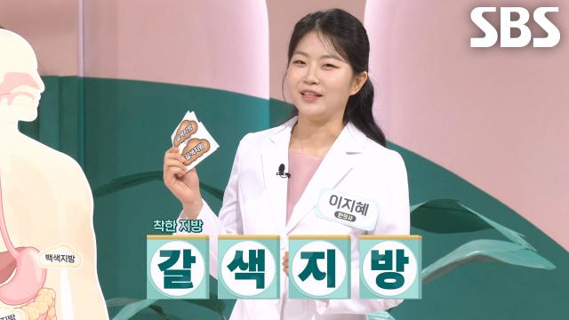 다이어트 도움 되는 착한 '갈색 지방' (똑똑똑!고민상담소) 썸네일