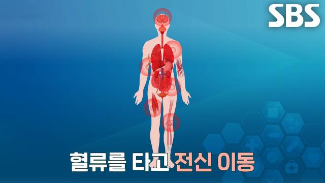좀비세포로 인해 혈관 망가진 위험 신호! (닥터필생기)