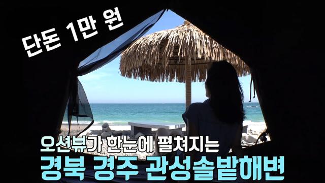 오션뷰 차박의 성지 ‘경북 경주 관성솔밭해변’