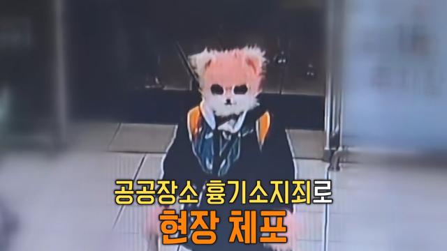 대형마트에서 흉기로 시민들 위협한 고양이 가면 쓴 여성