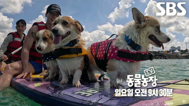 [9월 14일 예고] 시작부터 쉽지 않은 루시 패밀리의 특별한 여행기★