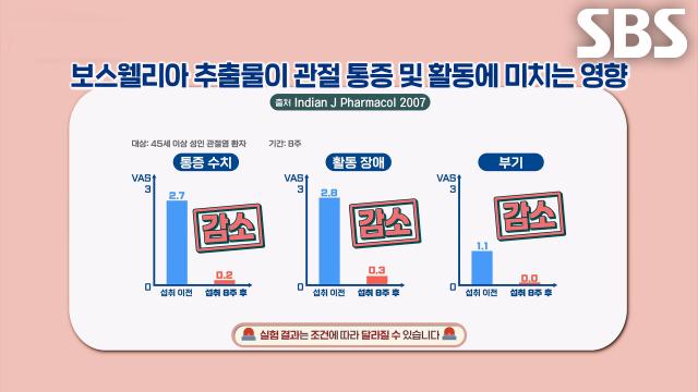 보스웰리아, 관절염 예방 돕는 놀라운 효능! (똑똑똑!고민상담소)