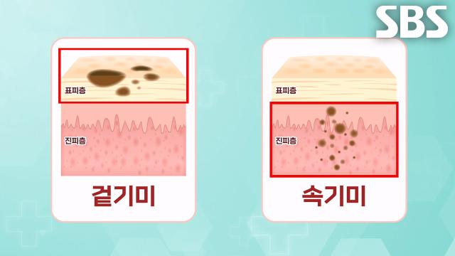 눈에 보이는 ‘겉기미’×보이지 않는 ‘속기미’ 차이점