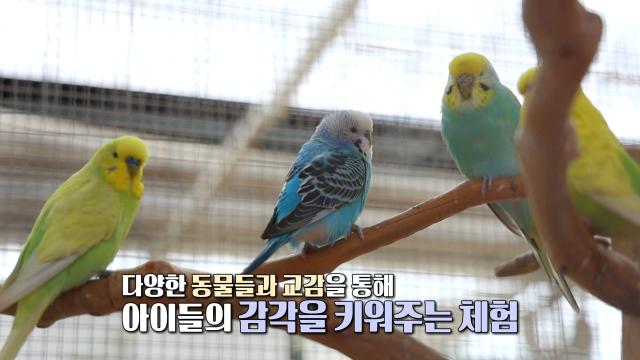 연 매출 3억! 오감만족 다양한 경험 가능한 체험 농장★
