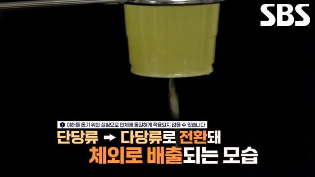 추석 음식의 지방 축적 막는 'BNR17 유산균'의 효능! 썸네일