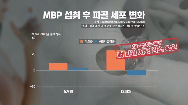 뼈 생성 세포 활성도 증가 돕는 'MBP' 썸네일