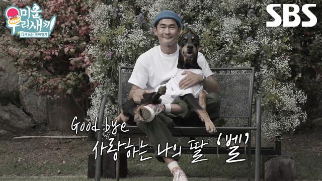 “아프지 말고 푹 쉬자 이제...” 배정남, 사랑하는 벨과 늘 함께하는 마음