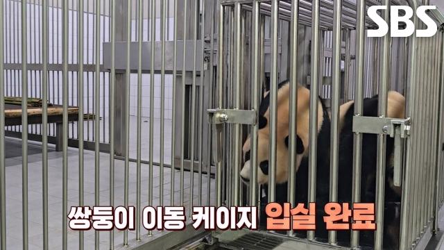 루이바오×후이바오의 새로운 보금자리 ‘판다 세컨드 하우스’ 공개★