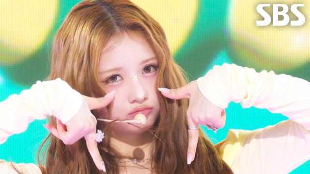 HAPPY  HITGS(힛지스) | SBS 251026 방송