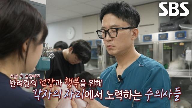반려동물×보호자에게 희망과 기적을 주는 수의사들