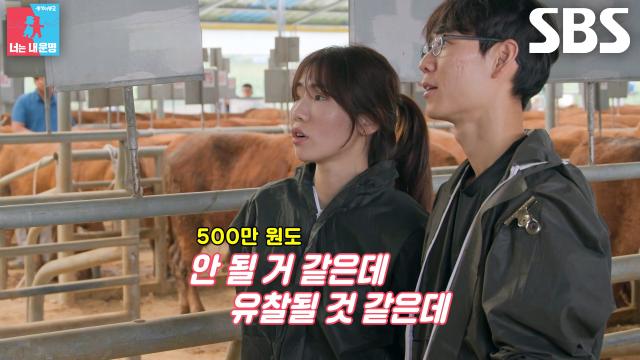 신승재, 첫 번째 경매부터 최종 유찰된 결과에 정신 혼미↘