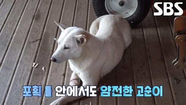 고통에서 고순이 구출할 사랑의 구조 대작전 성공♥