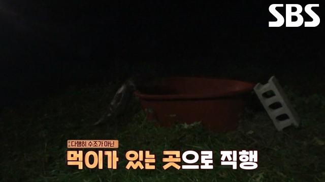 수달 습격 멈추기 위한 방어력 강화 작전!