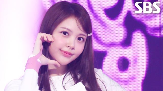 FOCUS Hearts2Hearts(하츠투하츠) | SBS 251116 방송 썸네일