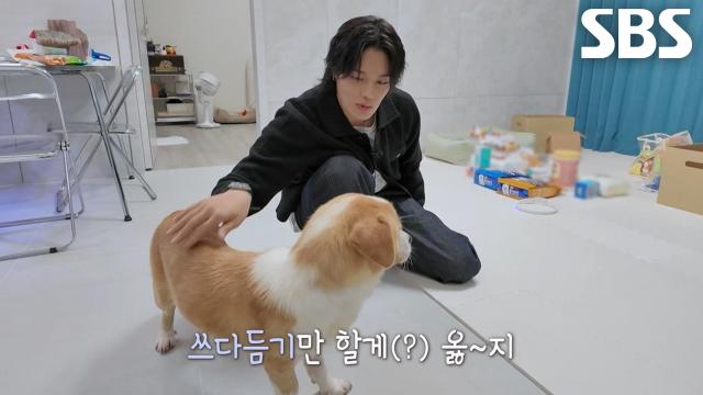 정혁, 내향적인 밀당 천재 똥개 피그몬에 걱정↘