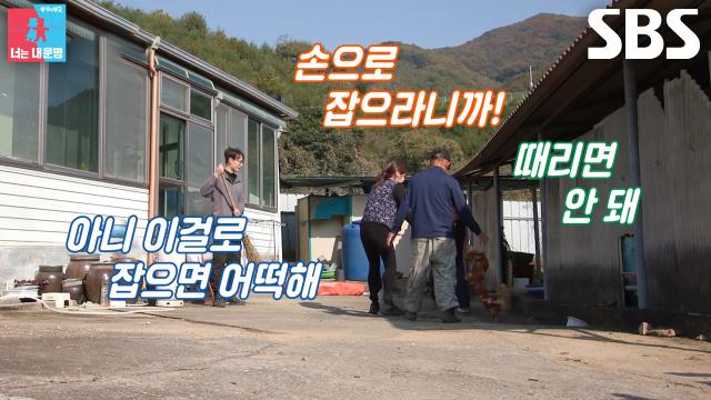 천혜린, 닭 무서워하자 장난치는 ‘테토녀’ 시어머니에 기절초풍↗