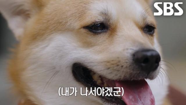 [11월 30일 예고] 멸망전 앞둔 T1 선수들에게 선사하는 룽지의 氣★