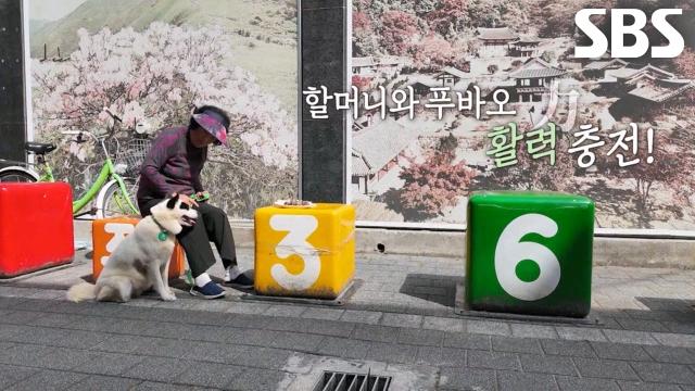 푸바오, 할머니와 활력 넘치는 첫 시장 나들이★ 썸네일