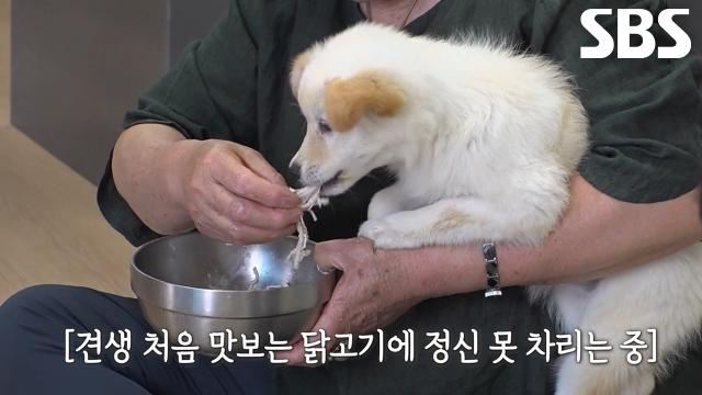 활력이×기력이×체력이, 할머니들이 준비한 보양식에 아수라장!