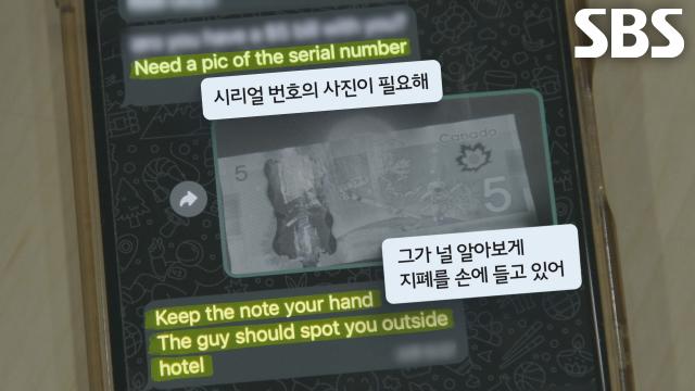 공짜 여행하며 동남아인에게 지시받고 한국으로 마약 밀반입 해온 사건의 발단