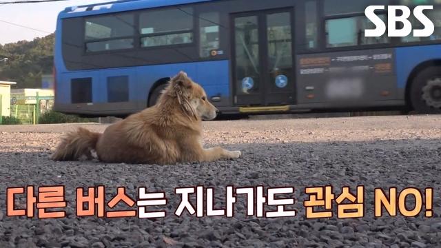 아주머니 오매불망 기다리는 럭키의 초능력! (ft.사랑의 힘) 썸네일