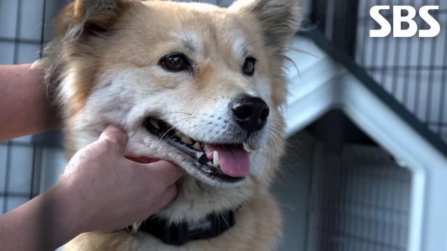럭키, 깔끔하고 예뻐진 모습으로 환골탈태♥ 썸네일