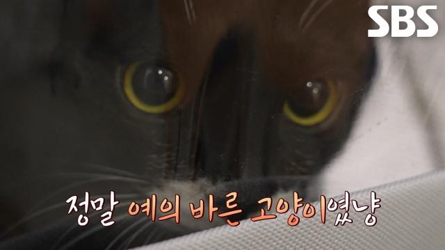 감사의 폭풍 눈물 쏟는 '텐이'의 진실↗ 썸네일