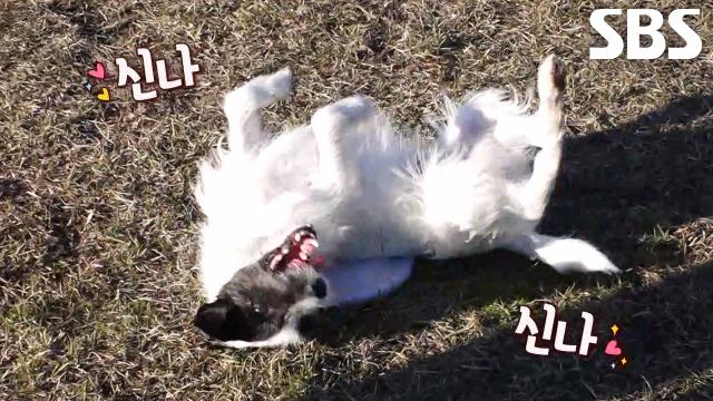 세리머니까지 완벽한 원반 놀이, 로켓의 활약★