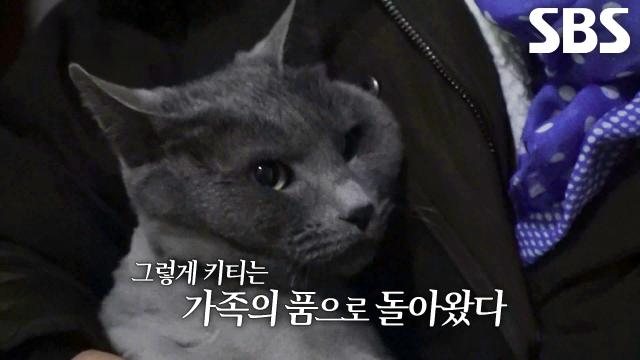 4일 만에 발견되고 애처롭게 엄마 부르는 ‘키티’ 