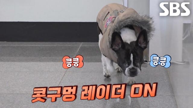 마음의 눈으로 세상을 보는, 빵이의 특기 대방출★