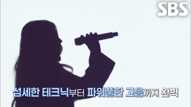 팡아만 파이터 - Fallin'