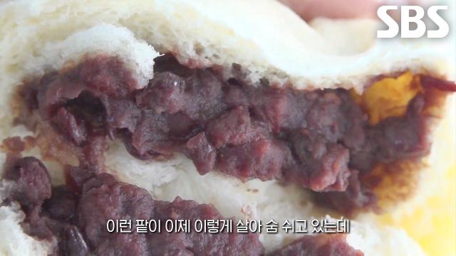 만두×찐빵 덕후 달인, 설탕 없이 본연의 단맛 살린 찐빵♨