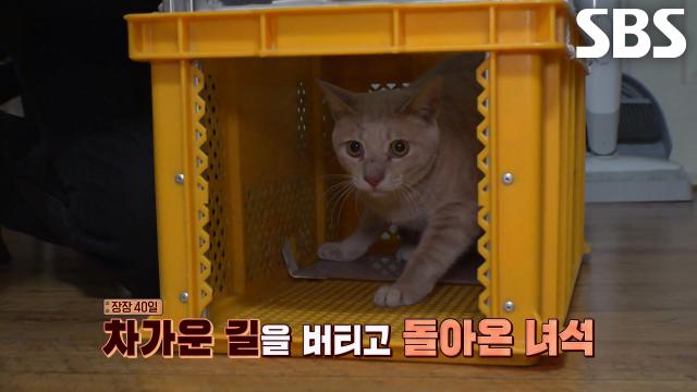40일간의 절망이 안도로 바뀐 ‘레오’ 구조의 순간