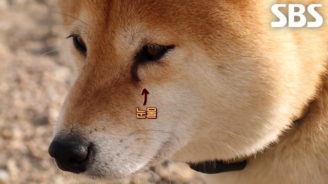 로치, 폭발하는 질투심과 서운함에 눈물 흘리며 가출 감행!