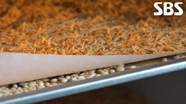 두쫀쿠 달인, 현미 사용해 수분 날려 더욱 바삭한 카다이프 비법 공개! 썸네일