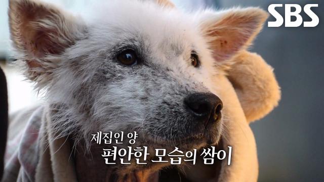 특별한 우정에서 이제는 가족이 된 탐이×쌈이↗