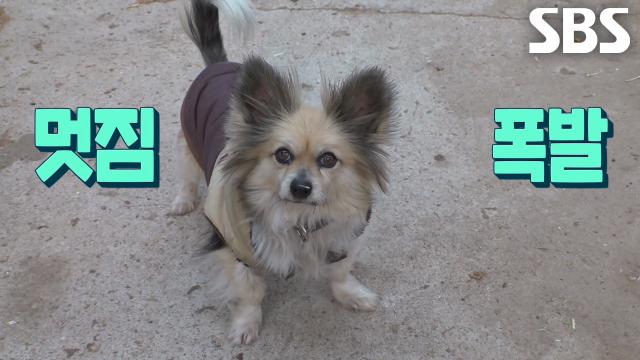 남다른 포스로 마방 휘어잡는 9년 차 베테랑 부장, 자두!