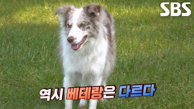 ‘닮이 매직’ 닮이, 긴장한 가을이 미소 되찾아준 마법★