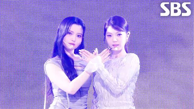 본 (本) - dodree (도드리) | SBS 260208 방송