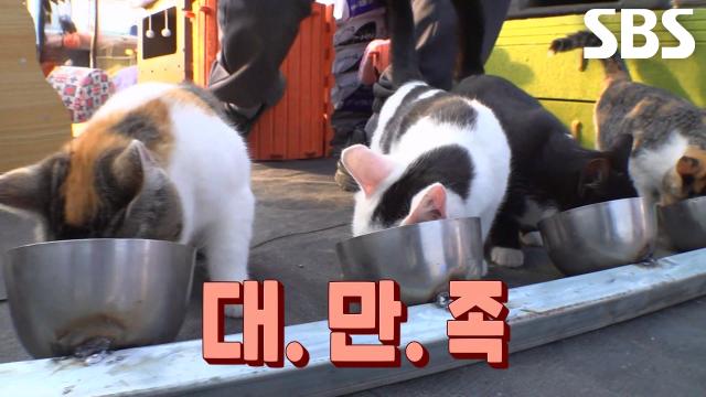 맥가이버 집사, 쑥쑥 자라버린 냥벤져스 위해 NEW 밥그릇 제작!