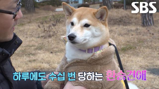 하루에도 수십 번 환승하는 유키, 최애남에 보이는 역대급 반응!