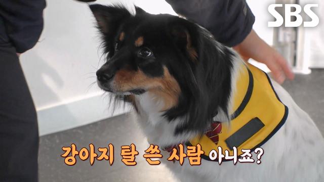 개치원에서 초등학교로 월반 시급한 한글 마스터, 쿤이★