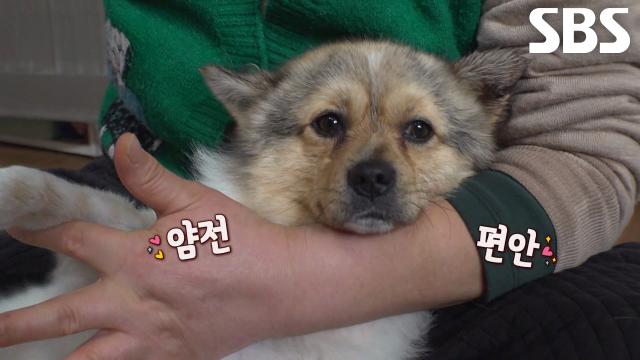 지난 길 생활 목욕으로 말끔히 청산하고 새로운 시작하게 된 길동이!