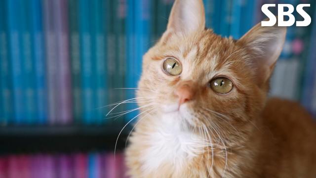 먹을 수 없던 ‘노래’ 위해 초대된 특별한 손님★