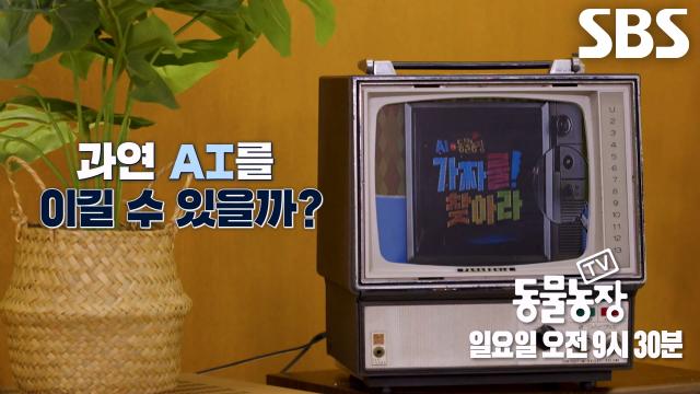 [3월 15일 예고] 궤도×가비×이장원×배다해, 4인방의 모든 상식 깨는 AI 동물 퀴즈쇼!