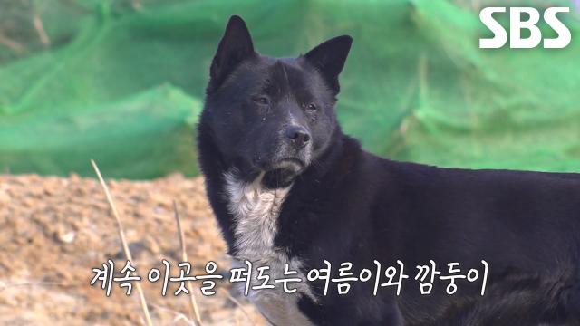 여름이×깜둥이, 하수관에서 아이들 키울 수 밖에 없던 이유↘
