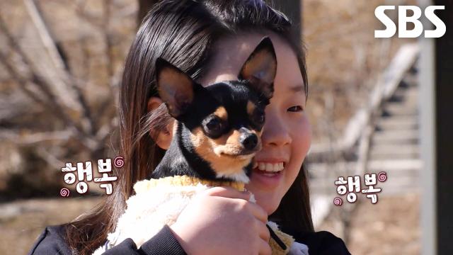 하나뿐인 ‘단짝’이 다시 생긴 탕후루↗ (ft. 특급 솔루션)