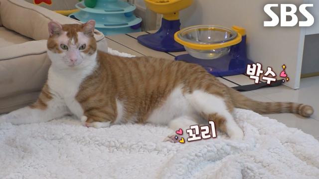 신성, 알다가도 모르겠는 나비 마음에 불러보는 한 소절! 