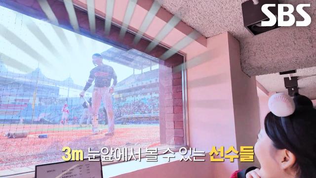 인천야구장에서 경기 직관 가능한 장소 소개하는 ‘야구장 맛집 달인’