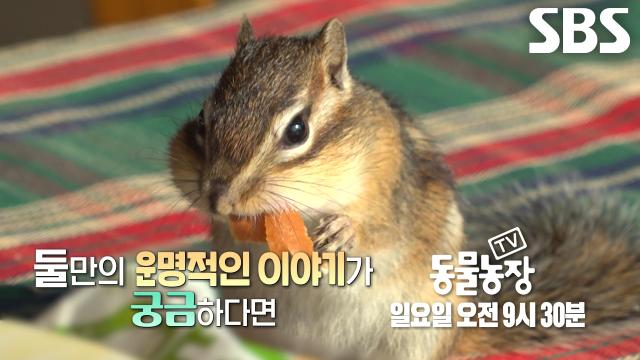 [4월 5일 예고] ‘숲의 요정’ 초록이, 아저씨와 함께한 운명적인 이야기!